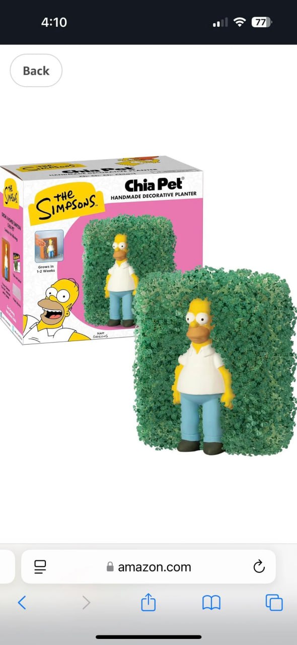 CHIA1.jpg