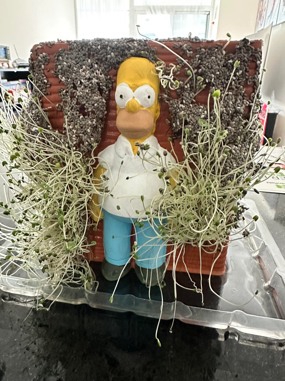 CHIA2.jpg