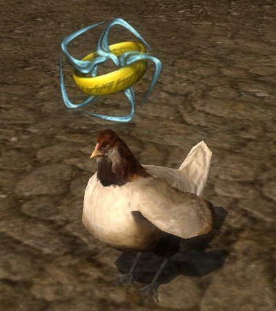 Chicken_Play.jpg