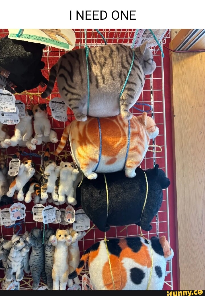 chonk.jpg