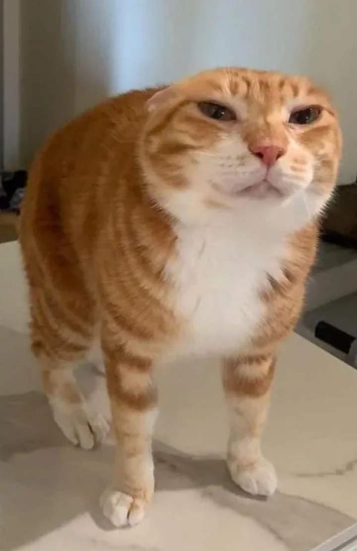 citrus.png