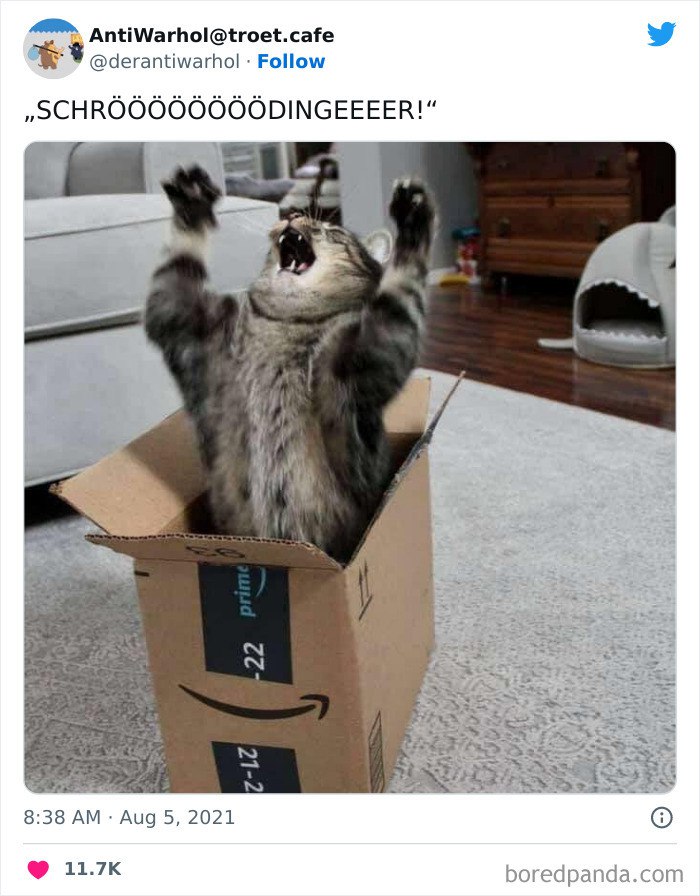 comeonscho.jpg