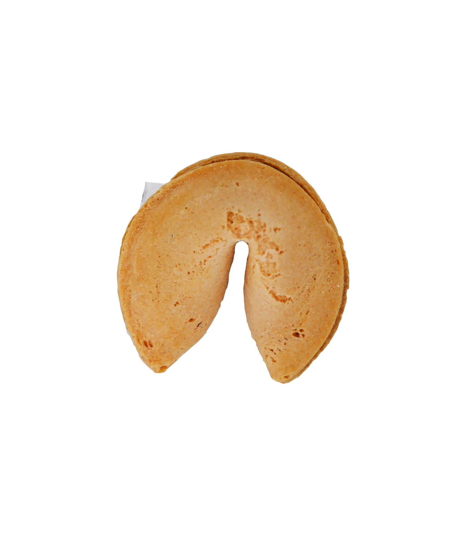 COOKIE1_2048x.webp