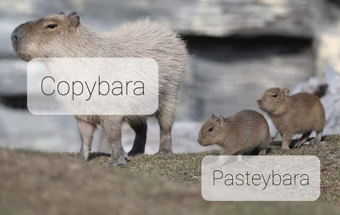 copybara.jpg