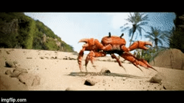 crab rave.gif