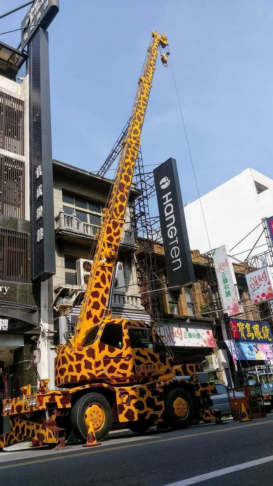 crane.jpg