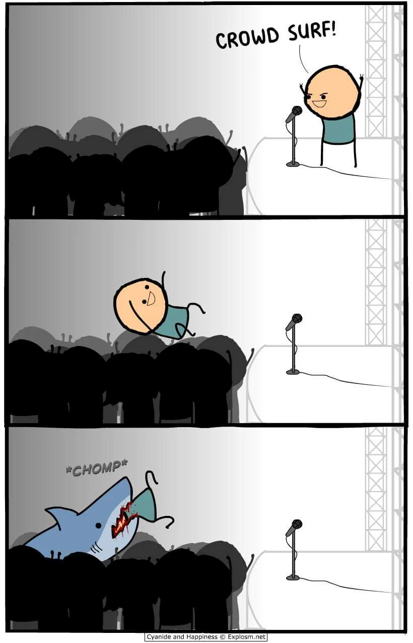 crowdSurf.png