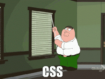 CSS.gif