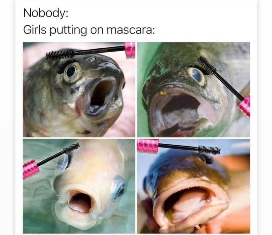 d8dSmKn.jpeg