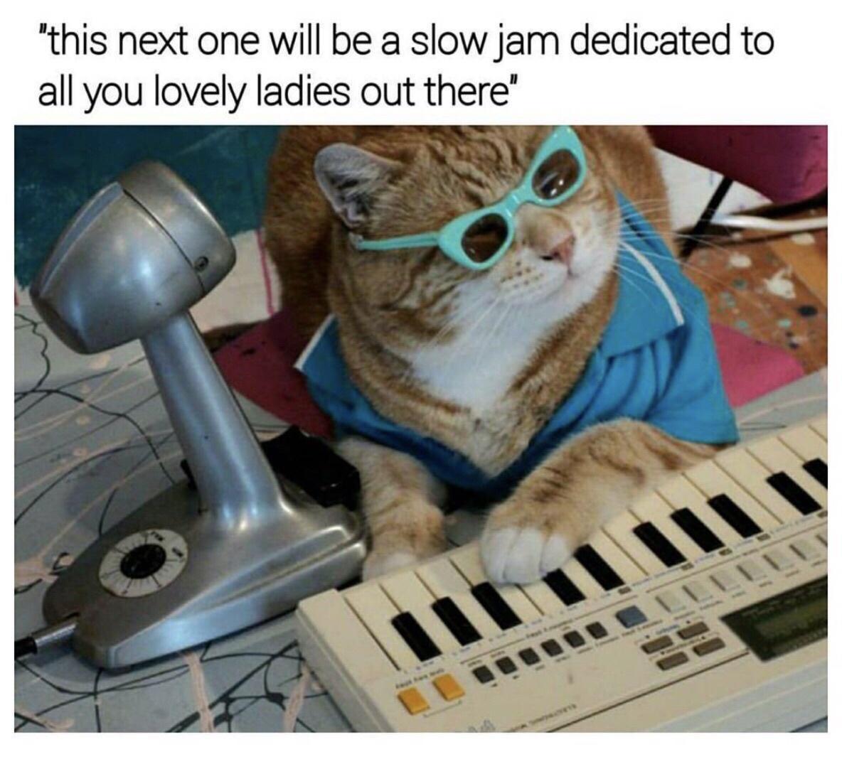 dByRg9h.jpeg