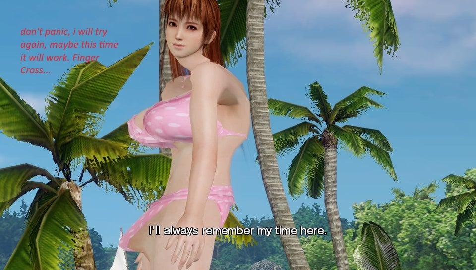 DEAD OR ALIVE Xtreme 3.jpg