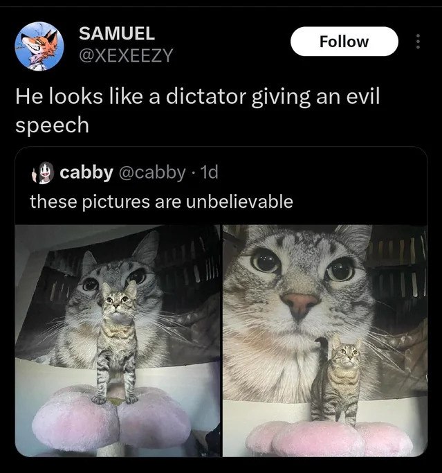dicat.jpg
