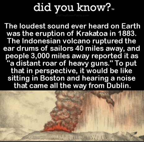 diduknow.jpg