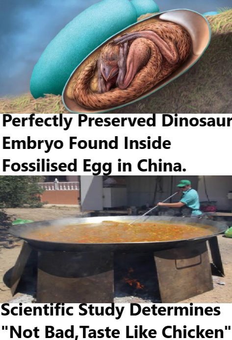 DinoEgg.png