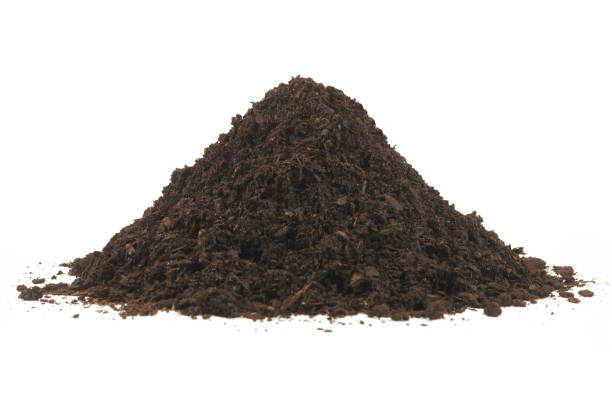 dirt.jpg