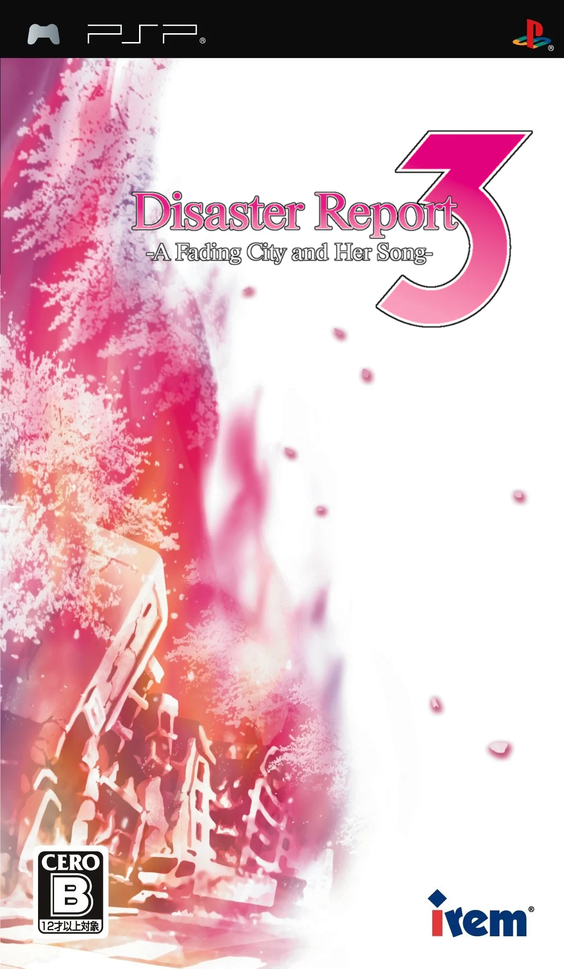 Disaster Report 3 cover.png