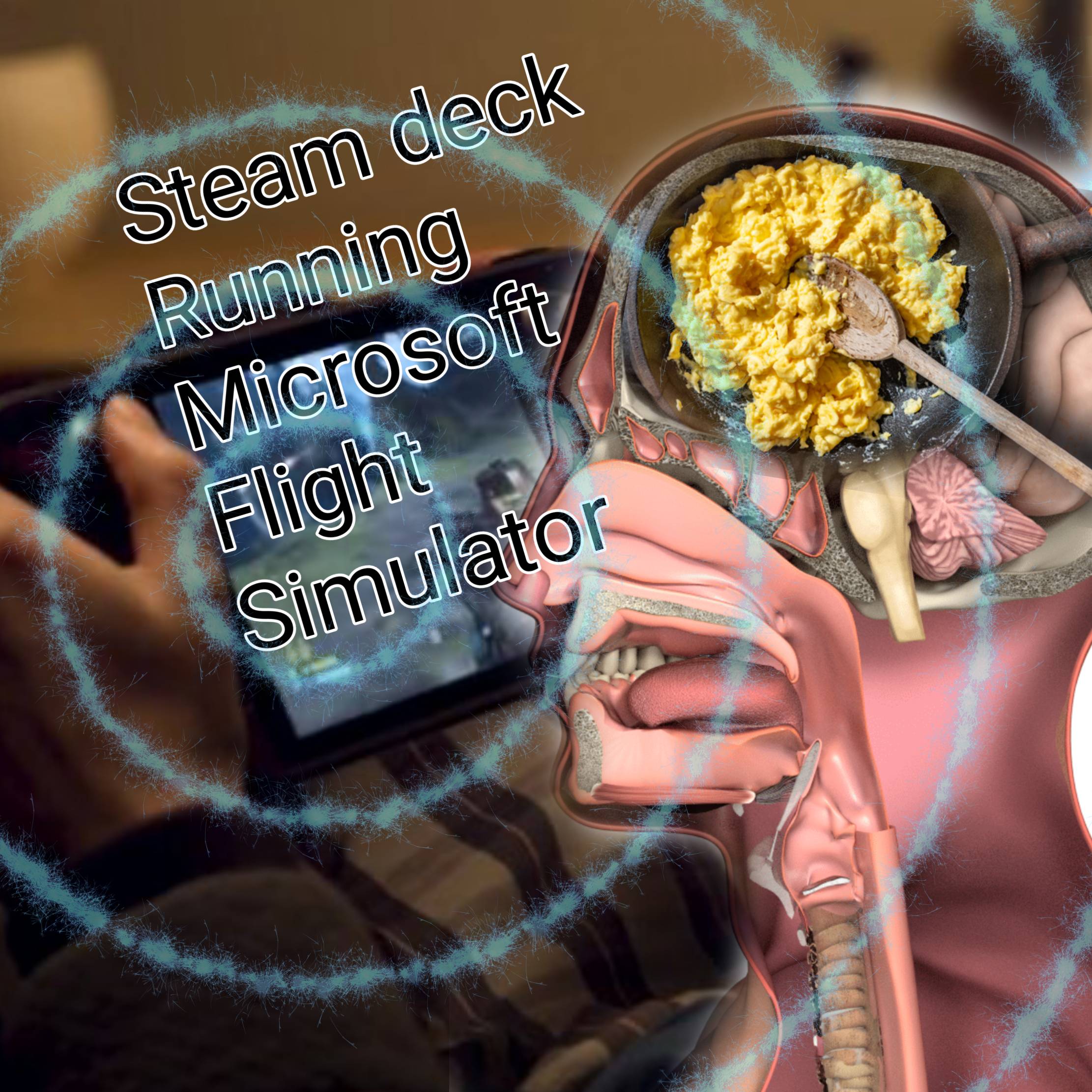 dkdkd.jpg