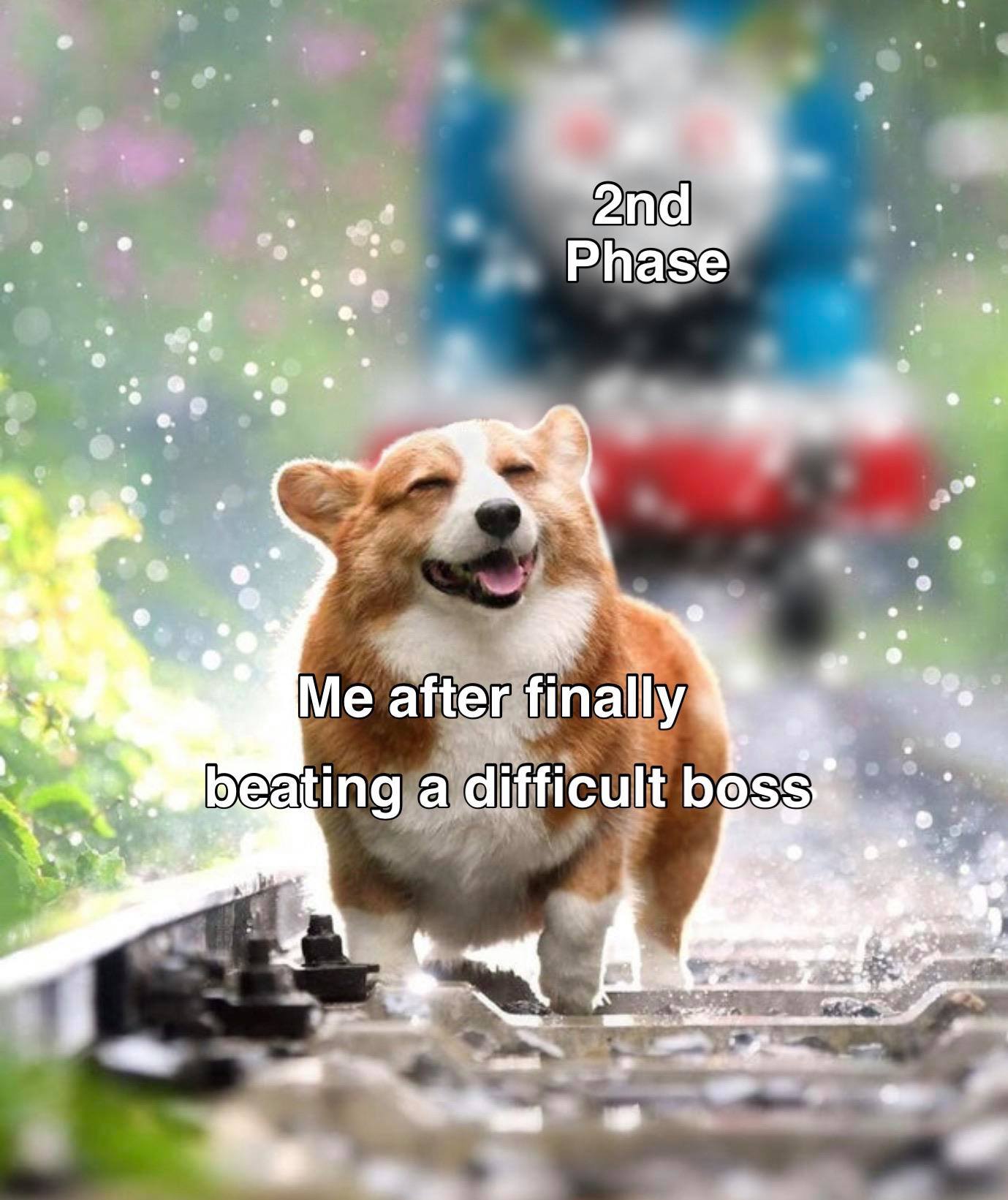 doggo.jpg