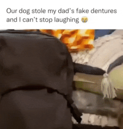 DoggyDentures.gif