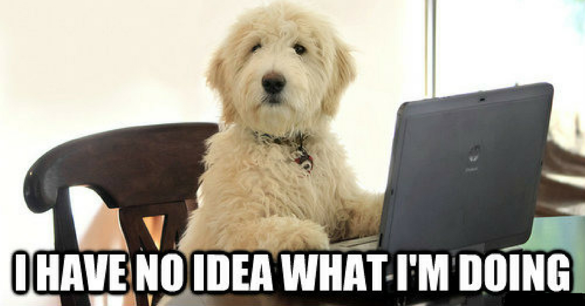 dogmeme_yoast.png