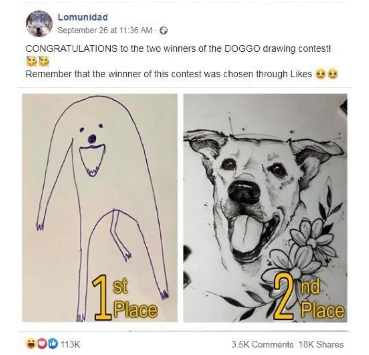 dOGO1.jpg