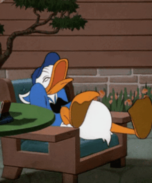 donald-duck-laughing-hysterically-ix5e7qvo0pvgqe7z.gif
