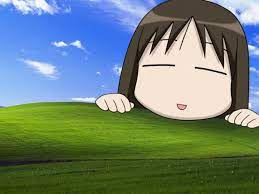 download (9).jpeg