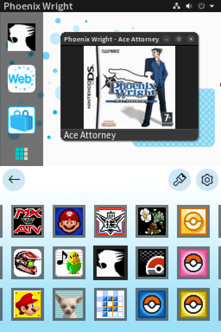 DS Shop Preview.png