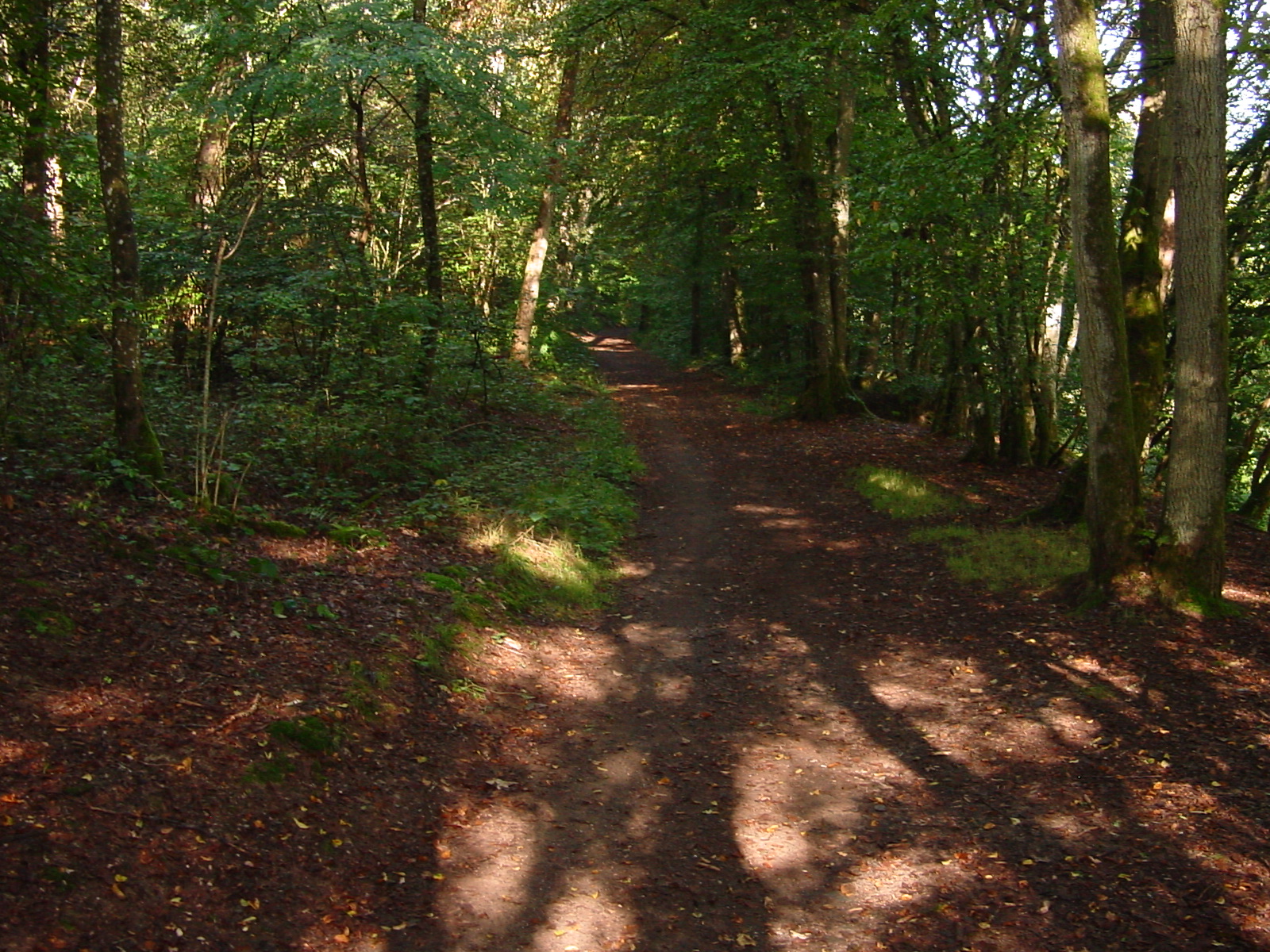 DSC00147.JPG