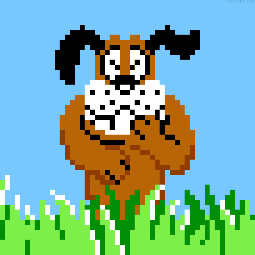duck-hunt.gif