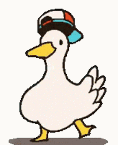 duck-meme.gif
