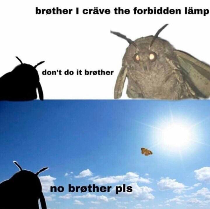 e4vlHbl.jpeg