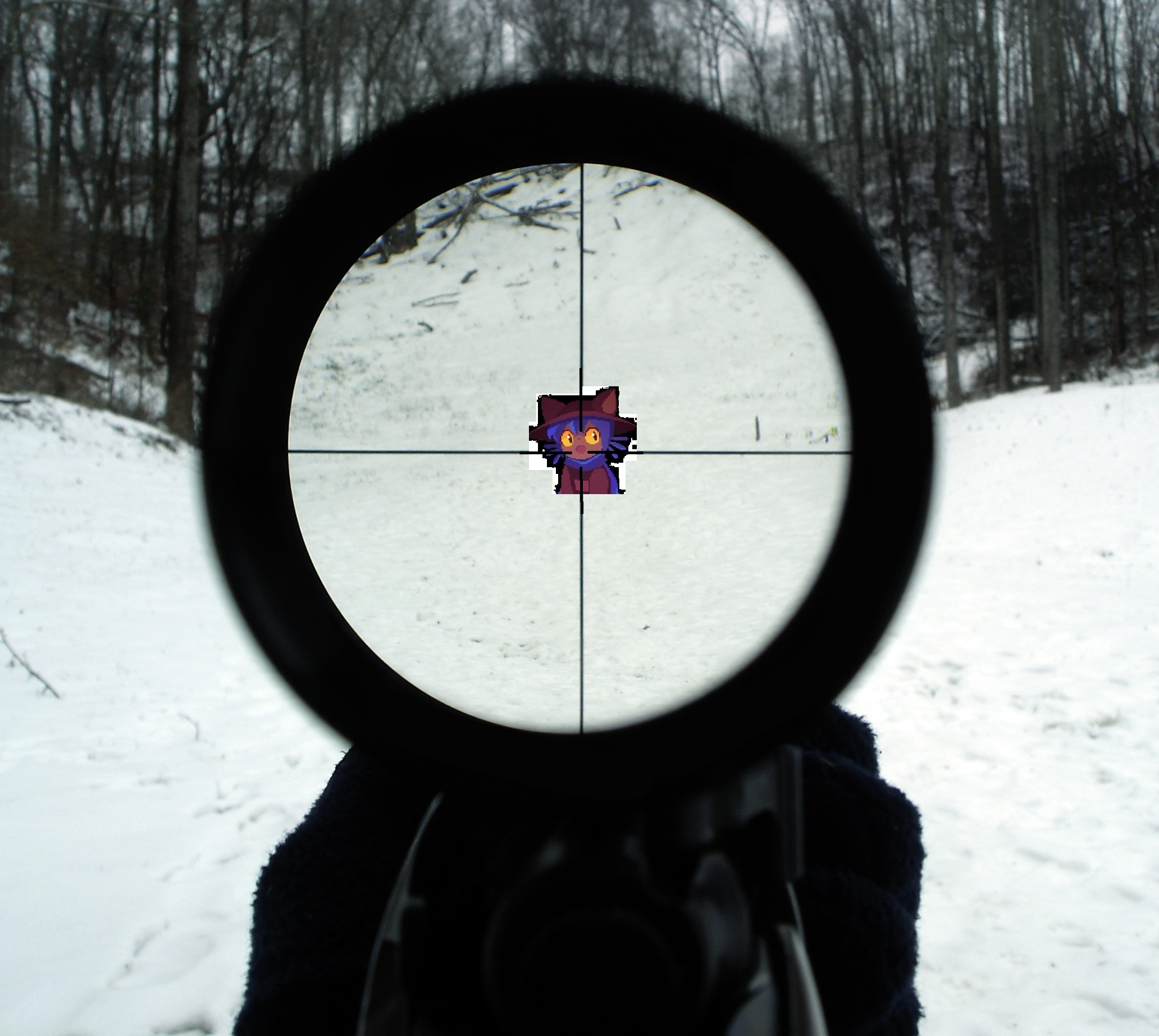 Edit_4x_rifle_scope.jpg