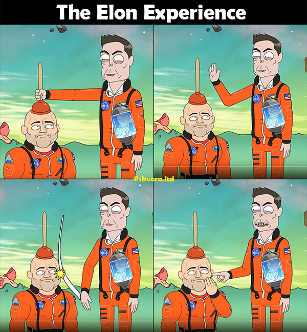 Elon-Experience.jpg
