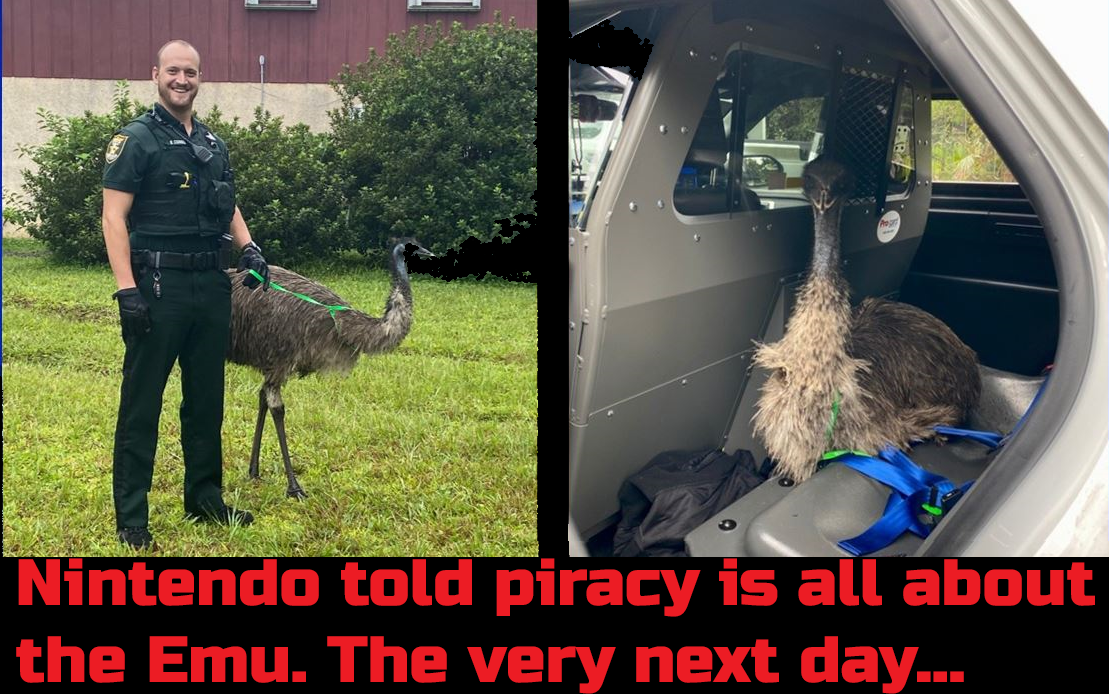 emu.png