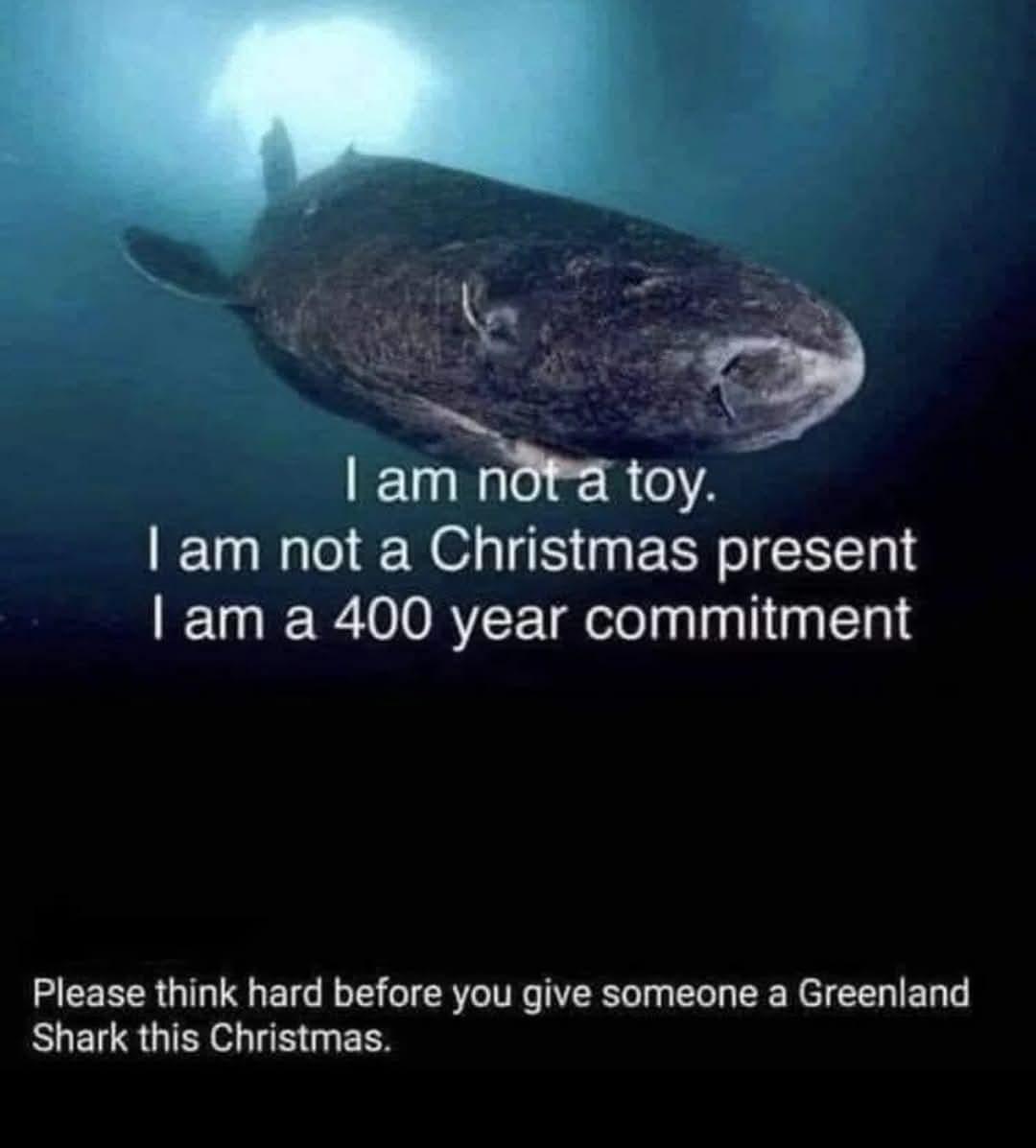 en8z7cbczn8e1.jpeg