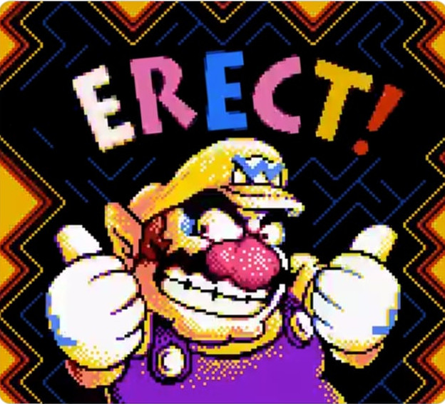 erect.jpg