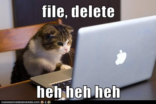 external-content.duttckduckgo.com.jpg