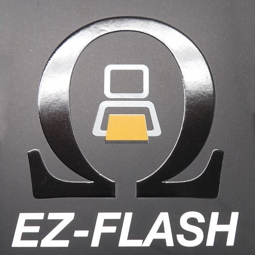 ezflash_omega_header.jpg