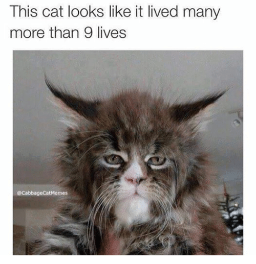 Facebook-74326e.png