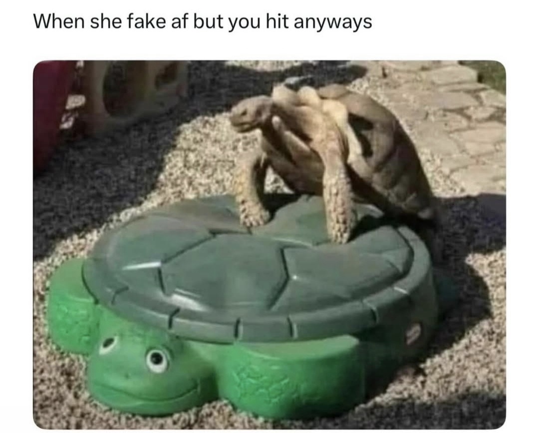 fake af.jpeg