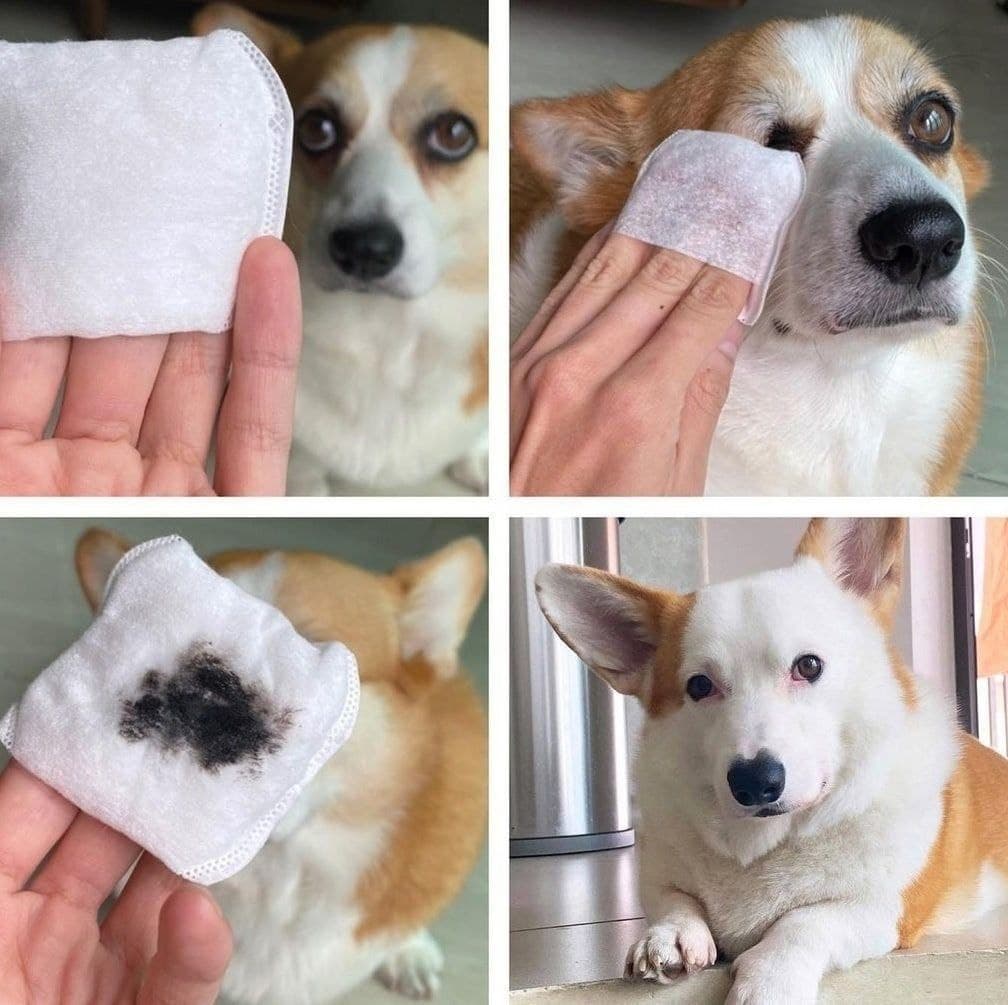 fakeup.jpg
