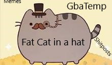 Fat Cat in A hAT.jpg