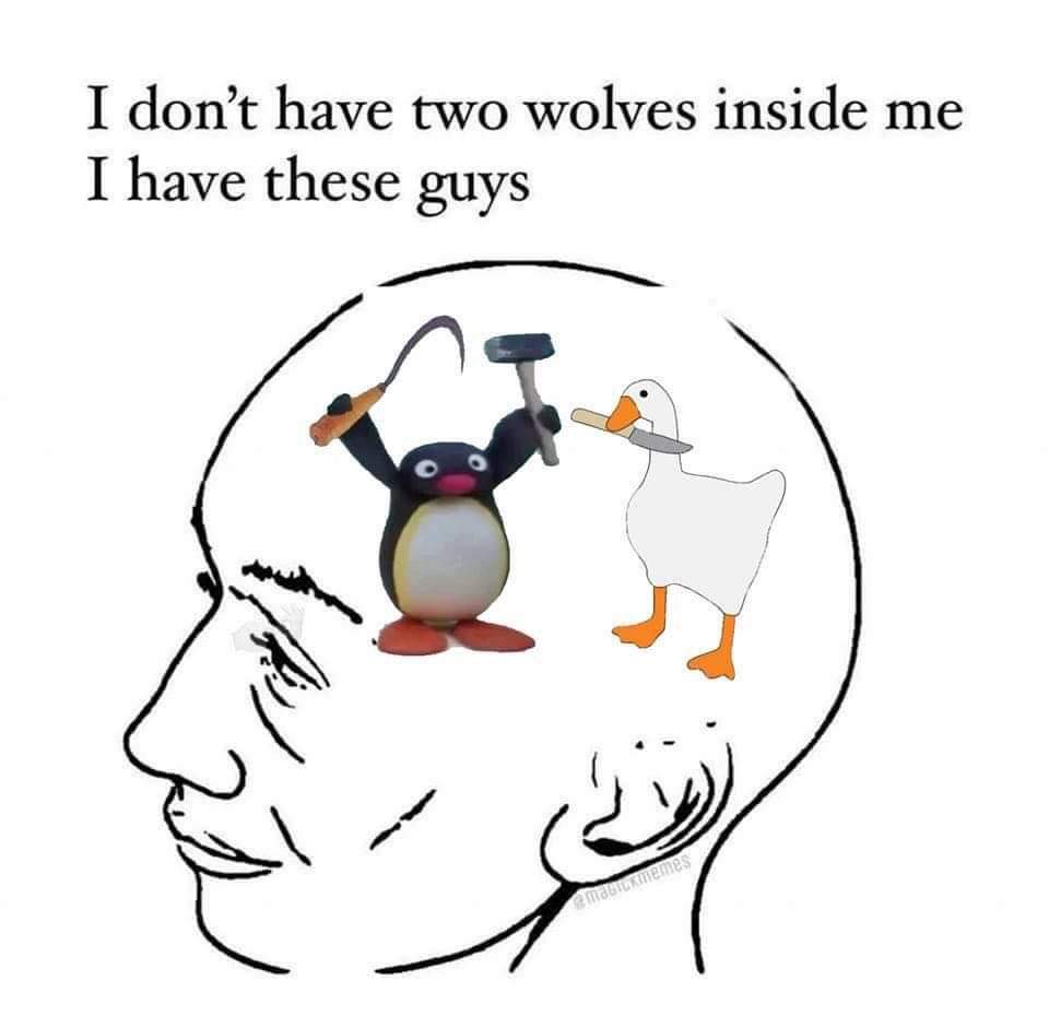 FB_IMG_1686916632338.jpg
