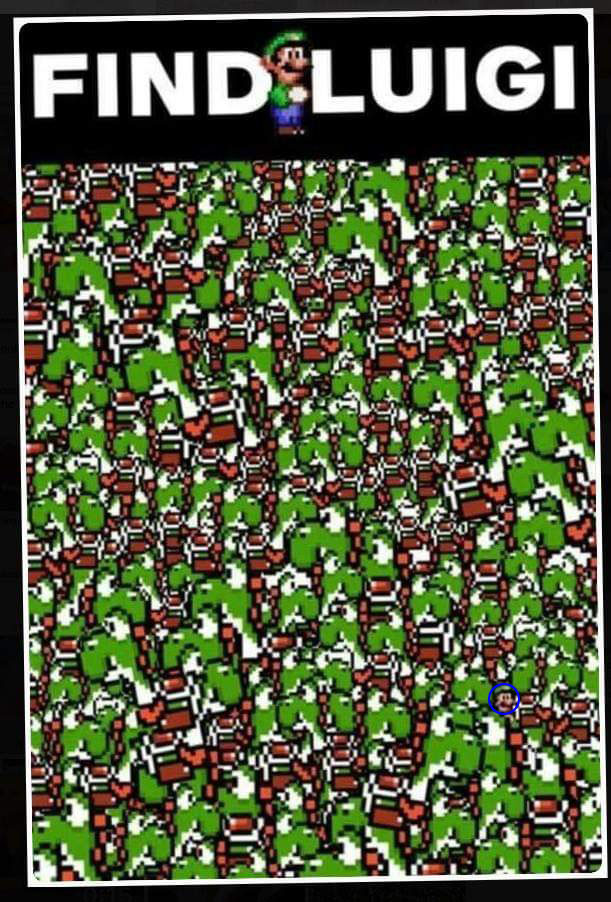 FindLuigi.jpg