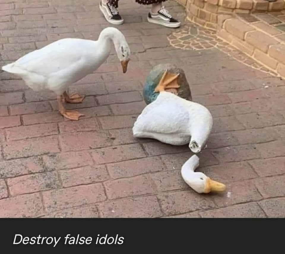 fitTqeQ.png