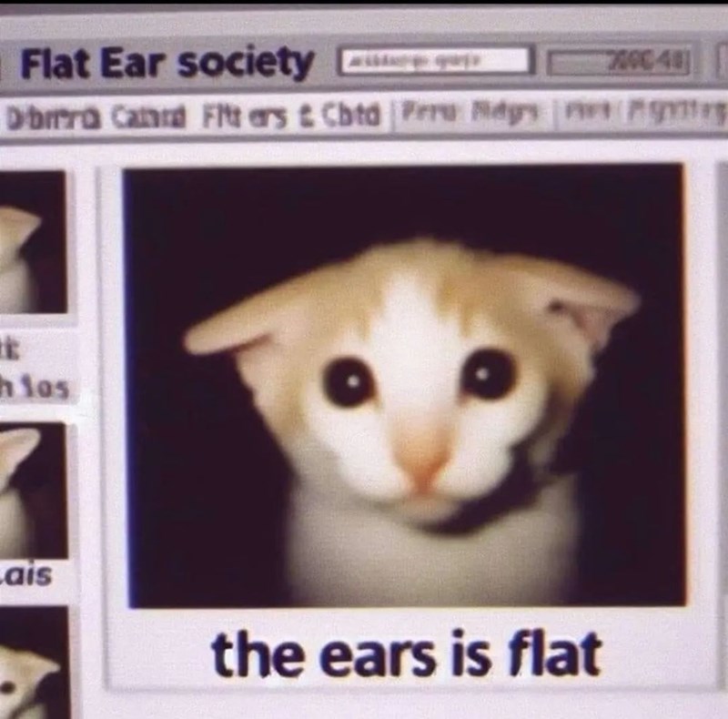 flat-ear-society-7000-48-dibra-card-fitt-arst-cbtd-prru-dgs-gr-k-hlos-lais-ears-is-flat.jpeg