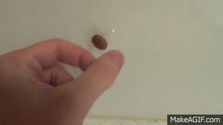 Flicking_the_bean.gif