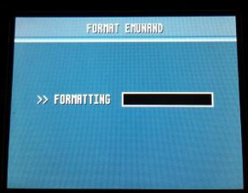 formatting.jpg