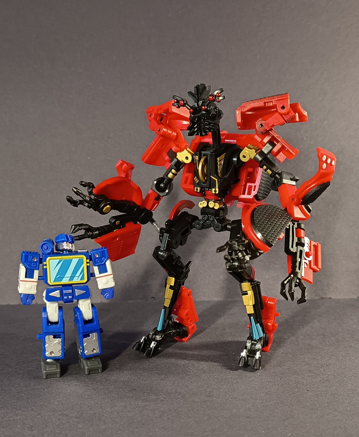 frenzy 2.jpg